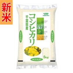 精米 千葉県産 コシヒカリ 5kg 令和7年産