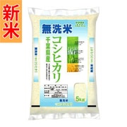 無洗米 千葉コシヒカリ 5kg 令和7年産