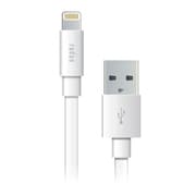 Lightning 充電&同期用フラットタイプ 0.1m ホワイト AL-APC01W