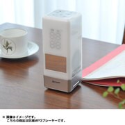 防滴MP3プレーヤー ホワイト YBP-20 (W)