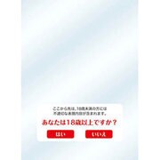 キャラクタースリーブプロテクター 【世界の文様】 「あなたは18歳以上ですか?」 [トレーディングカード用品]