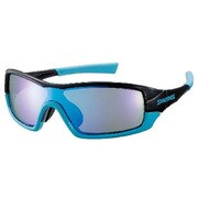 809866 [STRIX I-1101 BKBL]