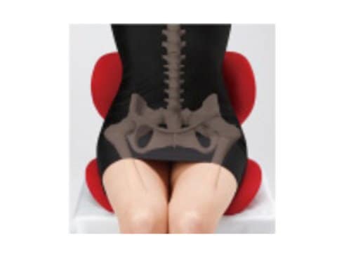 新品未使用】 TMG 「body make seat 白い Style 」 赤 a
