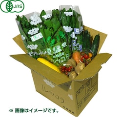 ヨドバシ.com - ヴァレンチア 有機農法で作った野菜セット(小松菜、ルッコラなど旬の野菜) [茨城県産 有機野菜3,480円セット]  通販【全品無料配達】