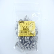 HP-743 [ステンタッピングトラス 6×20 50入]