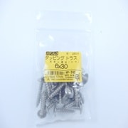 HP-745 [ステンタッピングトラス 6×30 25入]