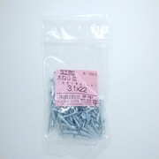 HP-767 [木ネジ皿 3.1×22 100入]