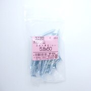 HP-834 [木ネジ皿 5.8×50 25入]