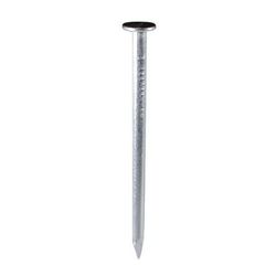 ステンレス釘 ヒラ #13×45mm 1袋(21個入)×5 AO-129