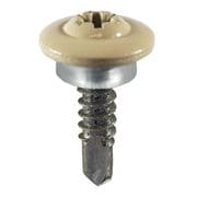 CO-953 [ジンロイ シンワッシャー カラー クリーム 5×19mm 1袋(3個入)×5]