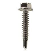 42-559 [SUS410スズメッキ ピアスビスHEX 6×45 300入]