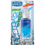 どこでもアイスノン ジェットコールド ミントの香り 45g [消臭機能付]