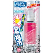 どこでもアイスノン ジェットコールド せっけんの香り 45g [消臭機能付]