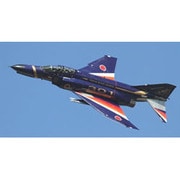 AC117 [1/144 F-4EJ改 空自 新田原]