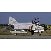 AC118 [1/144 F-4EJ 空自 小松]