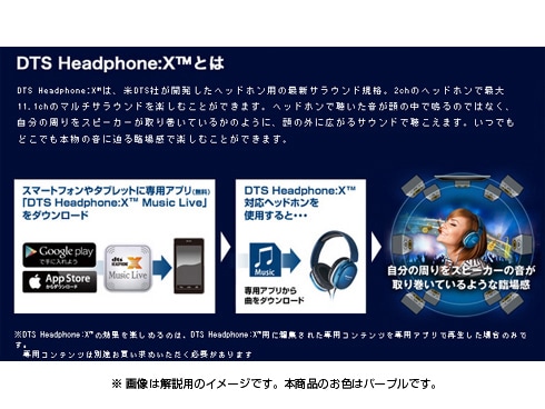 ヨドバシ Com パナソニック Panasonic Rp Hx350 V Dts X対応ヘッドホン パープル 通販 全品無料配達