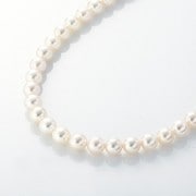 シルバークラスプ付 8.5mm-9.0mm アコヤパールチョーカー