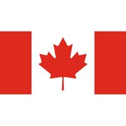 Nintendo 3DS Skin Canadian Flag [3DS用　ドレスアップシール]