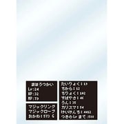 キャラクタースリーブプロテクター 【世界の文様】 「ステータス（RPG）」 [トレーディングカード用品]