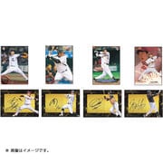 2014 BBM ベースボールカード 2ndバージョン [トレーディングカード]