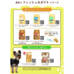黄金色の猫 プラクルアン ゴールデンキャット 黄金色の猫 プラクルアン ゴールデンキャット - メルカリ
