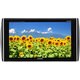 PKH-M1000SV [10.1型LED WSVGAリアビジョン ブラック]
