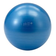 ギムニクカラーボールPLUS D5422 ブルー 65mm [バランスボール]