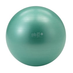 ヨドバシ.com - ギムニク GYMNIC D5423G [ギムニクカラーボールPLUS