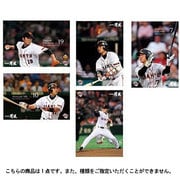 BBM 読売ジャイアンツ 2014