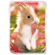 キャラクタースリーブコレクション もふもふうさぎ [トレーディングカード用品]
