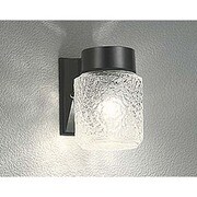 LEDポーチライト 4.8W 非調光 電球色 OG041110LD