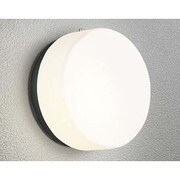 LEDポーチライト 5.8W 非調光 電球色 OG041430LD