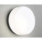 LEDポーチライト 5.8W 非調光 昼白色 OG041430ND