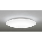 LEDシーリングライト ～10畳 調光 昼白色 OL251029N