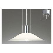 LEDペンダントライト 13.8W 非調光 電球色 OP087401LD