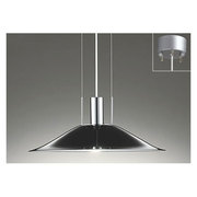 LEDペンダントライト 13.8W 非調光 電球色 OP087402LD