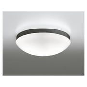 LED浴室灯 17W 非調光 昼白色 OW269032ND