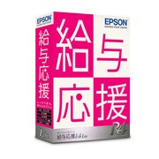 給与応援R4 Lite 平成25年 1ユーザー [Windows]
