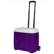 #45671PURP [クーラーボックス アイランドブリーズ 28 ローラー 26L パープル]