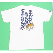 BUB0811 [ぶれないゆれないまどわされない つむぎ天竺Ｔシャツ M オフホワイト]