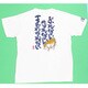 BUB0811 [ぶれないゆれないまどわされない つむぎ天竺Ｔシャツ L オフホワイト]