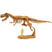 Skeleton Kits ティラノサウルス [バラエティー雑貨]