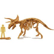 Skeleton Kits トリケラトプス [バラエティー雑貨]