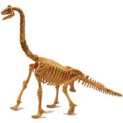Skeleton Kits ブラキオサウルス [バラエティー雑貨]