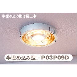 ヨドバシ.com - パアグ PAAG P03P09D [ヒーター一体型照明 ポカピカ 半