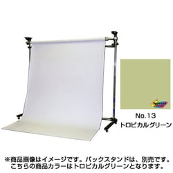 No.13 トロピカルグリーン 2.72x11m BPS-2711