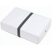 193-B-PG [O-BENTO フラットランチボックス plain ビッグ（930cc） グレー]
