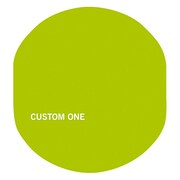CUSTOM ONE PRO専用カバー BEYER C1 CV GN