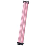 ダイワイカヅノ投入器 2本 ピンク