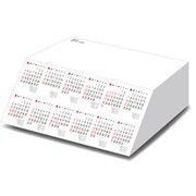 ななメガカレンダー [ななめもカレンダーシリーズ 2015年度版 メモ用紙機能付き]